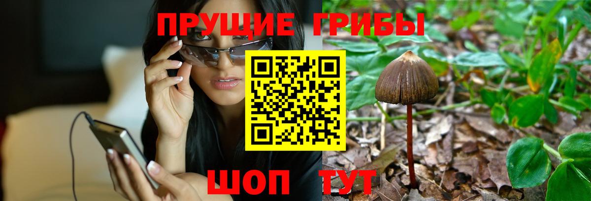 что такое   Галлюциногенные грибы Magic Shrooms  Вход с VPN  Красный Сулин 